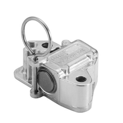 Tensificador de cadeia de cronometragem de automóveis LR051008 LR095472 C2Z28428 C2Z20682 AJ813898 AJ812419 Para Land Rover Range Rover Sport Vogue Jaguar